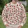 Red-Hatted Garden Gnomes for Whimsical Holiday Cheer and Cozy Seasonal Style All-over Print Knitted Sweater - 6