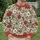 Rust Poinsettia and Evergreen Botanicals for Cozy Holiday Gatherings and Seasonal Style All-over Print Knitted Sweater - 6