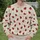 Ladybug Trails for Cheerful Everyday Outings and Whimsical Nature-Loving Style All-over Print Knitted Sweater - 6