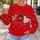 Three Festive Mouse-Ear Christmas Ornaments for Holiday Party Cheer and Gift Giving Joy All-over Print Knitted Sweater - 5