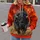 Charging Bison In Fiery Grassland For Bold Outdoor Adventures And Everyday Wear All-over Print Hoodie (Lightweight) - 2
