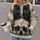 Twin Black Cats Perched on Skull for Halloween Night, Gothic Casual Wear and Autumn All-over Print Hoodie (Lightweight) - 2