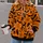 Pumpkin Orange Halloween Bats And Spiderwebs For Festive Autumn Nights All-over Print Hoodie (Lightweight) - 2