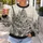 European Castle And Eiffel Tower Scenes For Travel Lovers And City Explorers All-over Print Knitted Sweater - 5