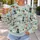 Whimsical Bespectacled Dogs for Everyday Outings and Cheerful Casual Pet Lover Style All-over Print Knitted Sweater - 5