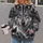 Realistic Wolf Portrait and Wilderness Scene for Outdoor Adventure and Nature Lovers All-over Print Hoodie (Lightweight) - 2
