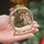 Personalized Snow Globe Family Name Ornament – Custom Rustic Signpost Wood Acrylic Christmas Keepsake - 2