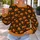 Smiling Pumpkin and Autumn Leaves for Cozy Fall Halloween Celebrations All-over Print Knitted Sweater - 5