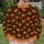 Smiling Pumpkin and Autumn Leaves for Cozy Fall Halloween Celebrations All-over Print Knitted Sweater - 6