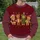Four Christmas Bears Sharing Holiday Cheer for Family Gatherings and Festive Season Joy All-over Print Knitted Sweater - 6