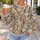 Scattered Calico And Tabby Cats For Cozy Everyday Style And Cat Lover Outings All-over Print Knitted Sweater - 5