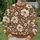 Ivory Wildflowers and Leaves for Cozy Thanksgiving Gatherings and Autumn Celebrations All-over Print Knitted Sweater - 6
