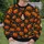 Smiling Pumpkin And Ghost Motifs For Halloween Parties And Autumn Outings All-over Print Knitted Sweater - 6