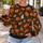 Smiling Pumpkin And Ghost Motifs For Halloween Parties And Autumn Outings All-over Print Knitted Sweater - 5