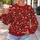 Christmas Trees, Stockings And Candy Canes For Cozy Festive Holiday Celebrations All-over Print Knitted Sweater - 5