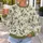 Olive Floral Blooms for Relaxed Spring Days and Sunny Weekend Getaways for Women All-over Print Knitted Sweater - 5