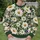 White Daisies and Green Leaves for Garden Gatherings and Everyday Spring Style for Women All-over Print Knitted Sweater - 6