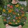 Lush Garden Blooms for Spring Outings and Everyday Botanical Style for Women All-over Print Knitted Sweater - 6