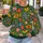 Lush Garden Blooms for Spring Outings and Everyday Botanical Style for Women All-over Print Knitted Sweater - 5