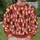 Playful Cat Silhouettes for Cozy Everyday Café Style and Casual Outings for Cat Lovers All-over Print Knitted Sweater - 6