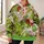 Christmas Fairy in Red Santa Hat for Whimsical Holiday Cheer and Winter Celebrations All-over Print Hoodie (Lightweight) - 6
