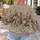 Muted Wildflower Florals for Everyday Cottagecore Style and Creative Casual Outings All-over Print Knitted Sweater - 5