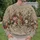 Muted Wildflower Florals for Everyday Cottagecore Style and Creative Casual Outings All-over Print Knitted Sweater - 6