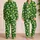 Lemon Lime Citrus Fruit for Fresh Summer Lounging and Relaxed Weekend Style Satin Pajamas Set - 2