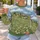 Countryside Daisy Meadow With Tiny Cottages For Whimsical Spring Garden Lovers All-over Print Knitted Sweater - 5