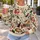 Whimsical Christmas Cats for Cozy Holiday Lounging and Festive Everyday Style All-over Print Knitted Sweater - 5