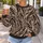 Wildlife Stripe Motif for Casual Everyday Outfits and Weekend Style All-over Print Knitted Sweater - 5