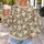 Snowman Evergreen Holiday Cheer for Cozy Winter Gatherings and Festive Seasonal Wear All-over Print Knitted Sweater - 5