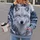 White Wolf Winter Forest Scene for Cozy Outdoor Adventures and Everyday Wear All-over Print Hoodie (Lightweight) - 2