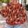 Seated Cat Folk Motifs for Cozy Autumn Outings and Everyday Cat Lovers All-over Print Knitted Sweater - 5