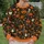 Jack-O'-Lantern And Bat Halloween Collage For Festive Autumn Outings All-over Print Knitted Sweater - 6
