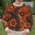 Folk Floral Medallions in Teal and Rust for Autumn Casual Style All-over Print Knitted Sweater - 6