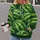 Watermelon Green Fruit Motif for Casual Spring and Autumn Everyday Wear All-over Print Hoodie (Lightweight) - 2