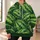 Watermelon Green Fruit Motif for Casual Spring and Autumn Everyday Wear All-over Print Hoodie (Lightweight) - 6