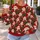 Santa Faces and Evergreen Trees for Festive Christmas Holiday Celebrations Together All-over Print Knitted Sweater - 5
