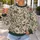 Ivory Botanical Roses And Vines For Romantic Garden Gatherings And Everyday Wear All-over Print Knitted Sweater - 5