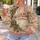 Vintage Santa Portrait for Cozy Christmas Celebrations and Festive Holiday Gatherings All-over Print Knitted Sweater - 5