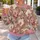Pink Orchid And Tulip Blooms For Romantic Everyday Spring Style All-over Print Knitted Sweater - 5