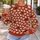 Ivory Sheep on Rust Red for Cozy Farmhouse Days and Everyday Country Style Wear All-over Print Knitted Sweater - 5