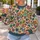 Colorful Hand-Drawn Hearts for Romantic Everyday Style and Creative Gift Giving for Her All-over Print Knitted Sweater - 5