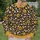Golden Floral Vines for Relaxed Spring and Summer Weekend Outfits for Women All-over Print Knitted Sweater - 6