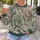 Vintage Teal And Blush Botanical Florals For Relaxed Everyday Outfits All-over Print Knitted Sweater - 5