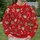 Gingerbread Men and Holiday Treats for Christmas Celebrations and Winter Gatherings All-over Print Knitted Sweater - 6