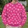 White Palm Trees on Hot Pink for Tropical Vacations and Summer Getaways All-over Print Knitted Sweater - 6