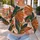 Tropical Terracotta And Forest Green Leaves For Relaxed Everyday Getaways All-over Print Knitted Sweater - 5