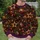 Golden Star Ornaments and Glowing Evergreen Boughs for Festive Holiday Gatherings All-over Print Knitted Sweater - 6